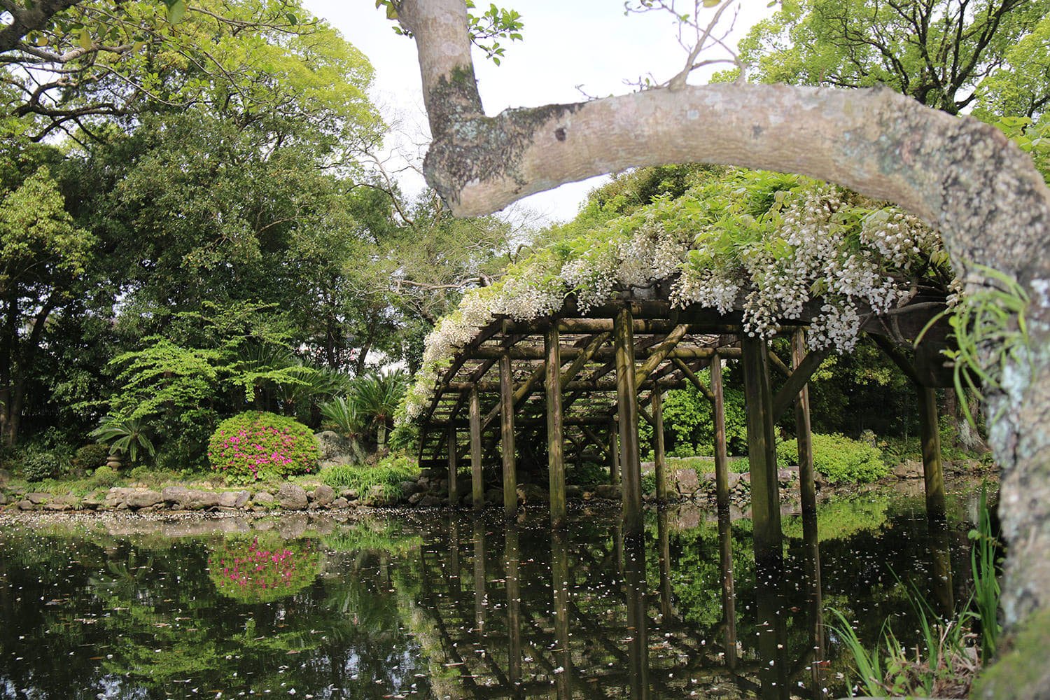 giardino 名勝 텐샤엔 이미지 9